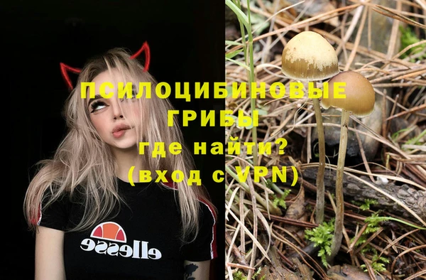 круглые Алексеевка
