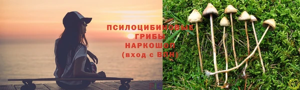 дмт Алзамай
