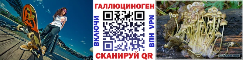 Галлюциногенные грибы Magic Shrooms  где купить наркоту  Багратионовск 